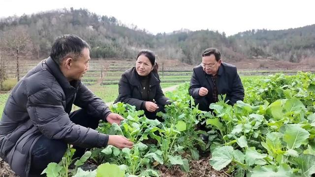  春回大地，生产就业双线发力；各地抢抓农时，绘就奋进新画卷。 新闻 春回大地，生产就业双线发力；各地抢抓农时，绘就奋进新画卷。 新闻 春回大地，生产就业双线发力；各地抢抓农时，绘就奋进新画卷。 新闻 春回大地，生产就业双线发力；各地抢抓农时，绘就奋进新画卷。 新闻 春回大地，生产就业双线发力；各地抢抓农时，绘就奋进新画卷。 新闻 春回大地，生产就业双线发力；各地抢抓农时，绘就奋进新画卷。 新闻 春回大地，生产就业双线发力；各地抢抓农时，绘就奋进新画卷。 新闻