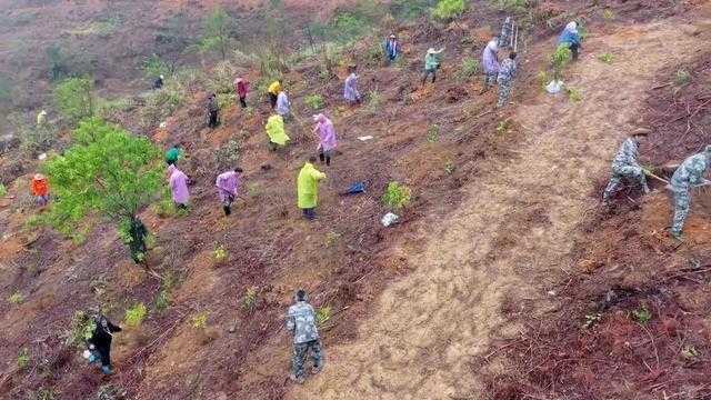  春回大地，生产就业双线发力；各地抢抓农时，绘就奋进新画卷。 新闻 春回大地，生产就业双线发力；各地抢抓农时，绘就奋进新画卷。 新闻 春回大地，生产就业双线发力；各地抢抓农时，绘就奋进新画卷。 新闻 春回大地，生产就业双线发力；各地抢抓农时，绘就奋进新画卷。 新闻 春回大地，生产就业双线发力；各地抢抓农时，绘就奋进新画卷。 新闻 春回大地，生产就业双线发力；各地抢抓农时，绘就奋进新画卷。 新闻 春回大地，生产就业双线发力；各地抢抓农时，绘就奋进新画卷。 新闻