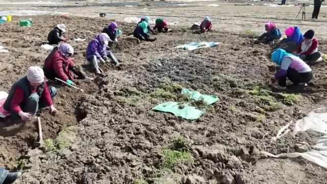  春回大地，生产就业双线发力；各地抢抓农时，绘就奋进新画卷。 新闻 春回大地，生产就业双线发力；各地抢抓农时，绘就奋进新画卷。 新闻 春回大地，生产就业双线发力；各地抢抓农时，绘就奋进新画卷。 新闻 春回大地，生产就业双线发力；各地抢抓农时，绘就奋进新画卷。 新闻 春回大地，生产就业双线发力；各地抢抓农时，绘就奋进新画卷。 新闻 春回大地，生产就业双线发力；各地抢抓农时，绘就奋进新画卷。 新闻 春回大地，生产就业双线发力；各地抢抓农时，绘就奋进新画卷。 新闻