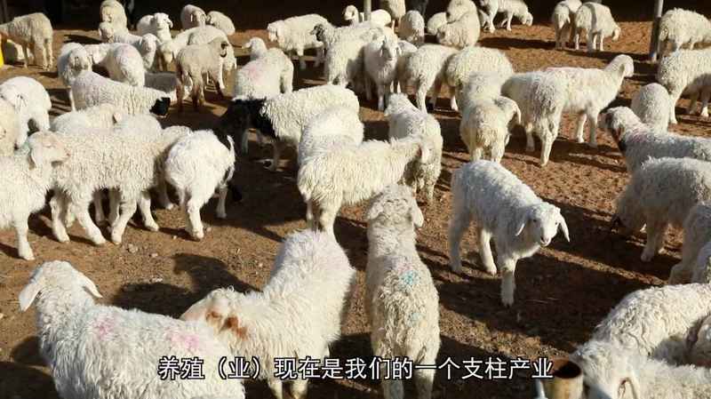  基层干部深耕乡土，调解矛盾促和谐；产业兴旺暖民心，和美乡村渐成形。 文化旅游 基层干部深耕乡土，调解矛盾促和谐；产业兴旺暖民心，和美乡村渐成形。 文化旅游