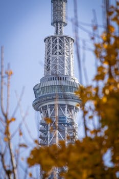 日元汇率保卫战，只靠干预石油市场就能赢吗？深度拆解非常规政策背后的博弈逻辑 股票财经