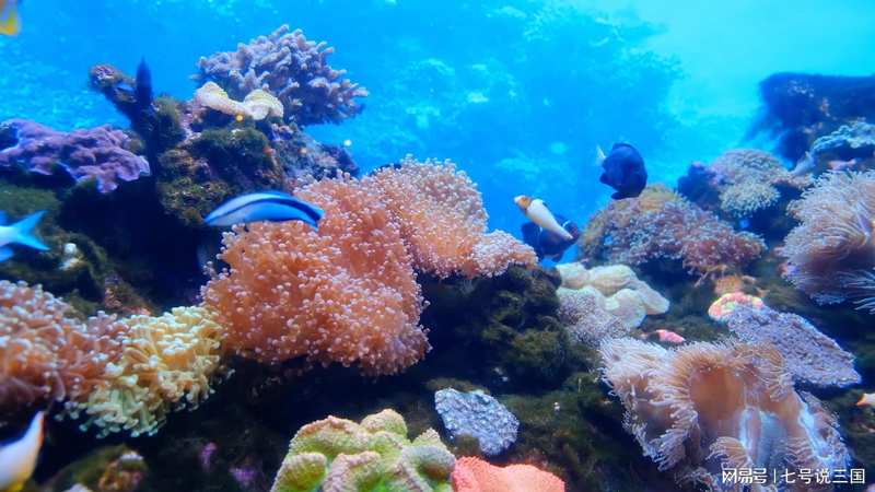  深海采油：技术壁垒下的南海能源困局与破局之道 新闻 深海采油：技术壁垒下的南海能源困局与破局之道 新闻 深海采油：技术壁垒下的南海能源困局与破局之道 新闻 深海采油：技术壁垒下的南海能源困局与破局之道 新闻
