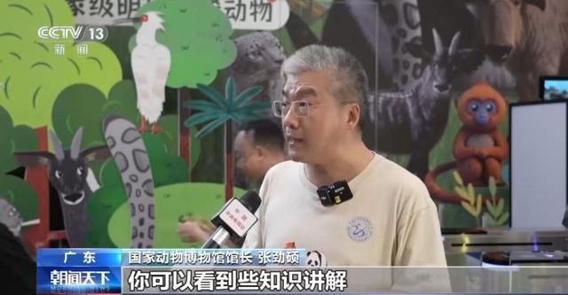  【技术解码】沉浸式科普如何重塑亲子文旅体验——从标本展示到交互装置的完整链路 文化旅游 【技术解码】沉浸式科普如何重塑亲子文旅体验——从标本展示到交互装置的完整链路 文化旅游