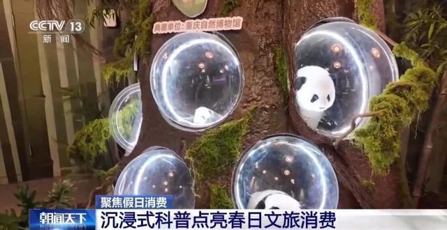  【技术解码】沉浸式科普如何重塑亲子文旅体验——从标本展示到交互装置的完整链路 文化旅游 【技术解码】沉浸式科普如何重塑亲子文旅体验——从标本展示到交互装置的完整链路 文化旅游
