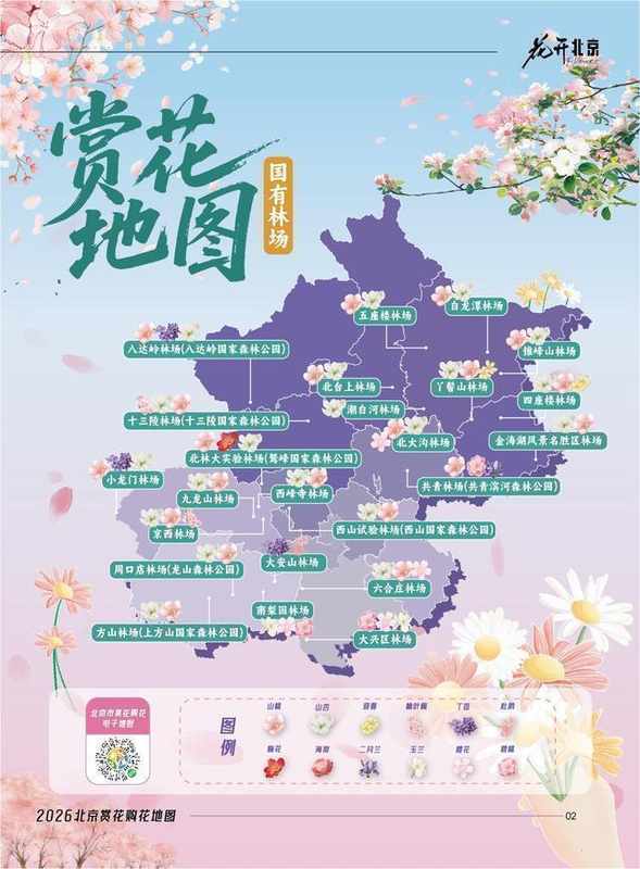  技术视角下的海棠经济：五大道花节数据拆解与文旅融合方法论 文化旅游 技术视角下的海棠经济：五大道花节数据拆解与文旅融合方法论 文化旅游