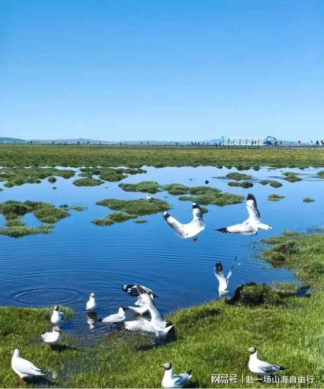  甘南7天6晚家庭游全流程复盘：行程设计与执行细节的完整拆解 文化旅游 甘南7天6晚家庭游全流程复盘：行程设计与执行细节的完整拆解 文化旅游