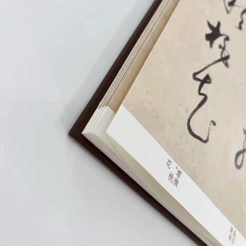  董其昌书法的技术解码：从笔法结构到生秀淡墨的美学体系 书画藏品