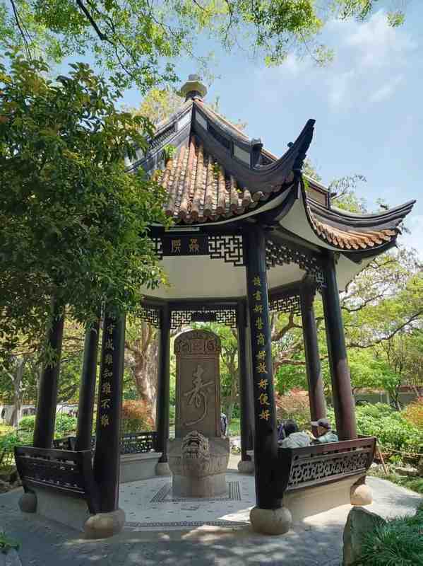  漕溪公园：百年古树与江南园林造景技艺的深度解析 文化旅游