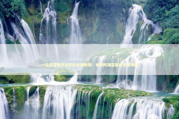 一位资深数字玩家的自我救赎：如何构建坚固的安全防线 IT技术