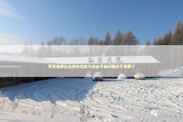 开发者都在头疼的性能与安全平衡问题终于有解了