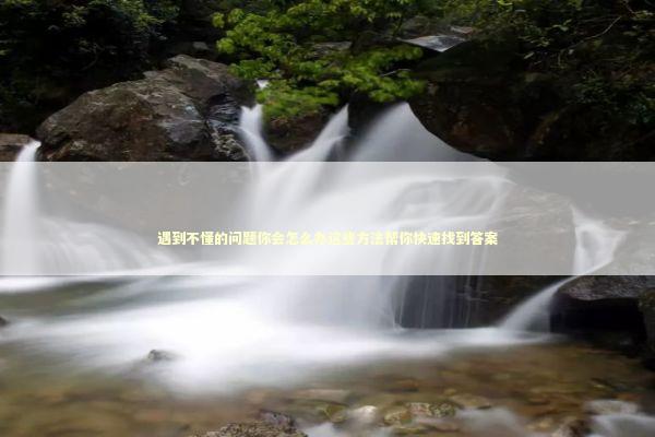 遇到不懂的问题你会怎么办这些方法帮你快速找到答案